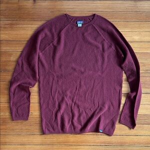 Patagonia Men's wool baselayer